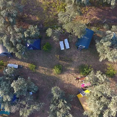 Ozgur Beach Camp *
